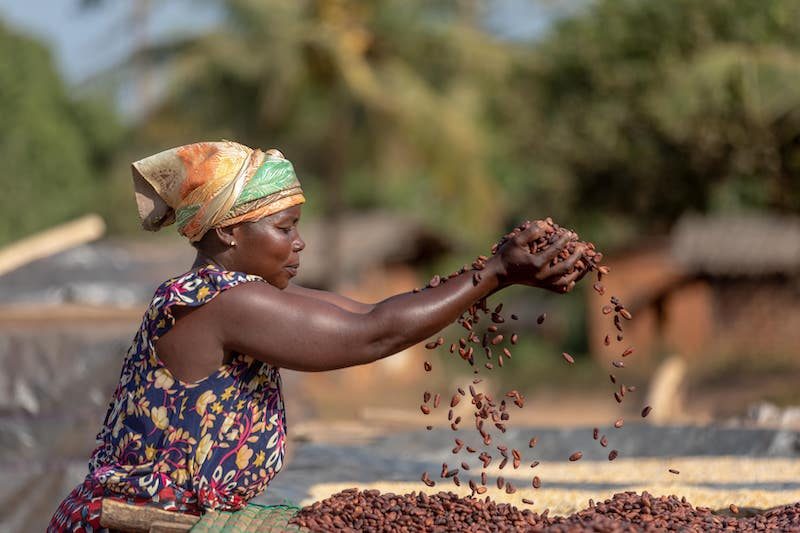 Cargill releases Decade of Impact report with global charity CARE on cocoa sustainability