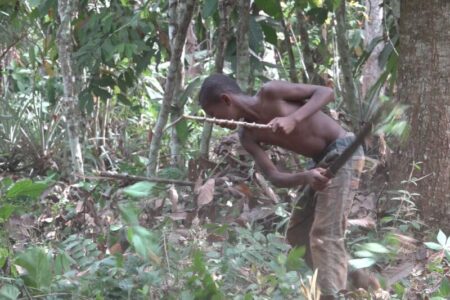 Mondelēz faces claims of cocoa sector child labour in Ghana with Channel 4 documentary
