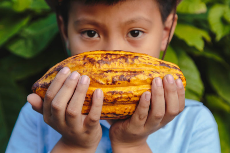 Child labour proves a major focus for World Cocoa Foundation meeting