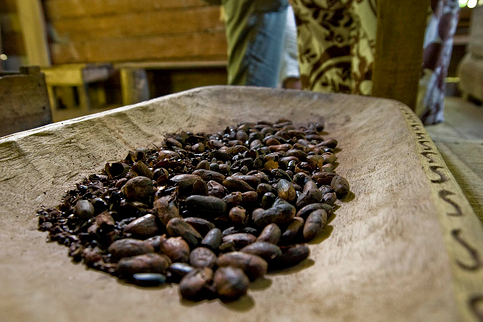 Fairtrade Foundation assists cocoa farmers operating amid coronavirus