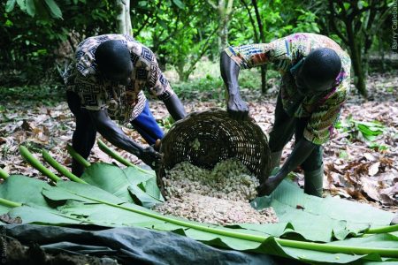 World confectionery bodies and companies join together supporting cocoa communities affected by coronavirus
