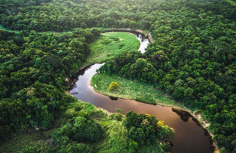 European Cocoa Association backs EU Commission’s plans for tackling deforestation European Cocoa Association backs EU Commission’s plans for tackling deforestation